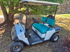 Golf Cart, Gas