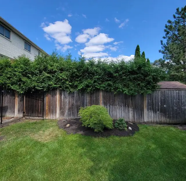 landscaping services - Photo 6