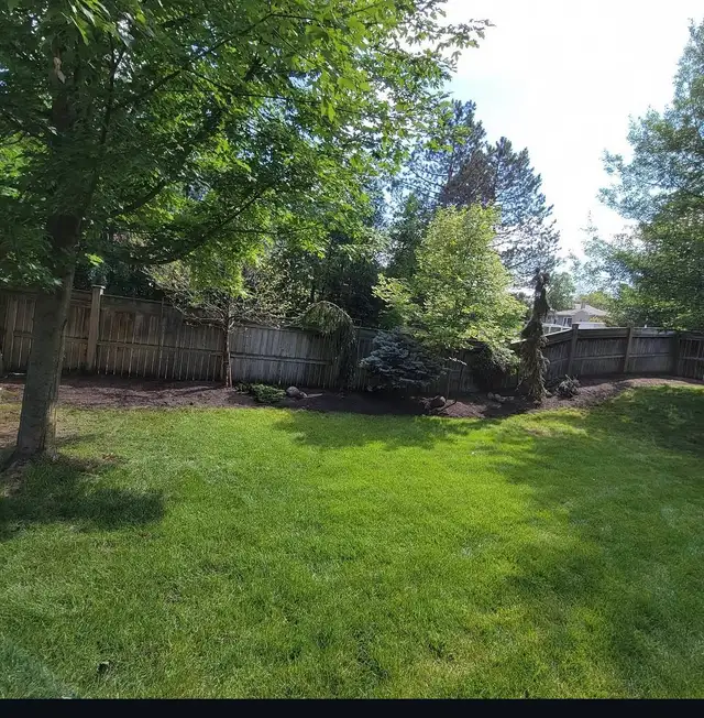 landscaping services - Photo 7