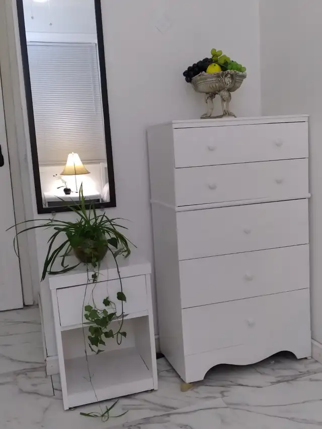 Alliston-Furnished Bedrooms For Rent - Photo 8