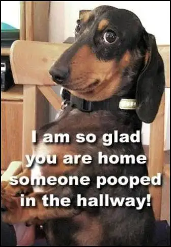 Alliston-Furnished Bedrooms For Rent - Photo 10