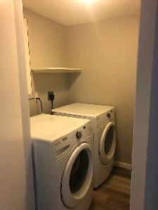 Updated 2 bed 2 bath Killarney 4-plex w/ balcony - $1895 - Photo 8