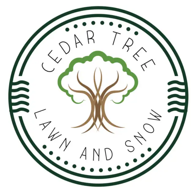 lawncare and property maintenance