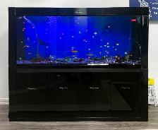 AVAILABLE 3 280 GALLON FISH TANK FOR SALE - $2000/each - Photo 2