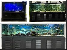 AVAILABLE 3 280 GALLON FISH TANK FOR SALE - $2000/each