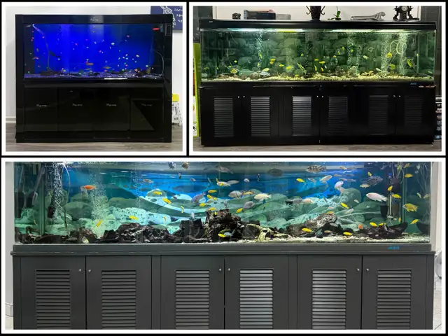 AVAILABLE 3 280 GALLON FISH TANK FOR SALE - $2000/each