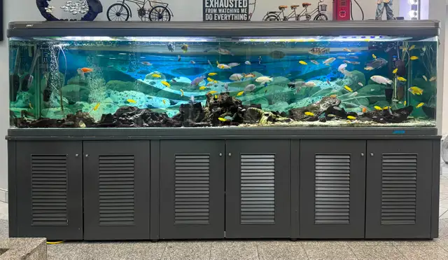 AVAILABLE 3 280 GALLON FISH TANK FOR SALE - $2000/each - Photo 3