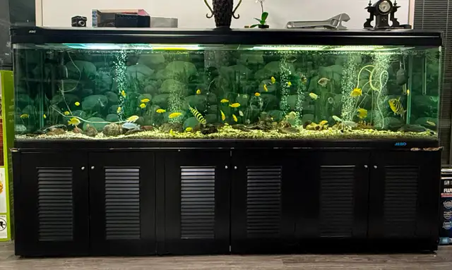 AVAILABLE 3 280 GALLON FISH TANK FOR SALE - $2000/each - Photo 4