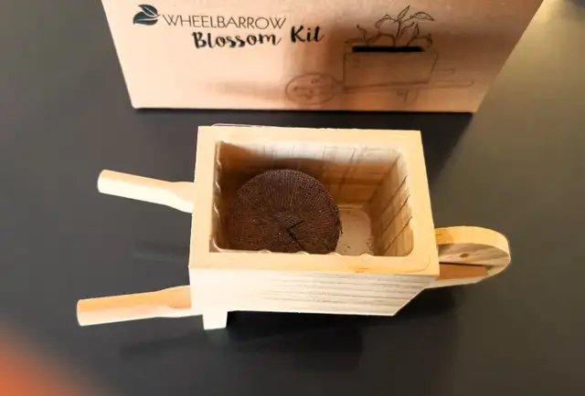 Brand New Craft Wheelbarrow - Photo 3