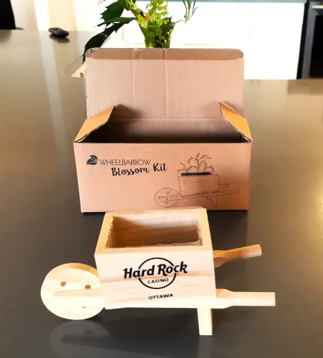 Brand New Craft Wheelbarrow - Photo 4