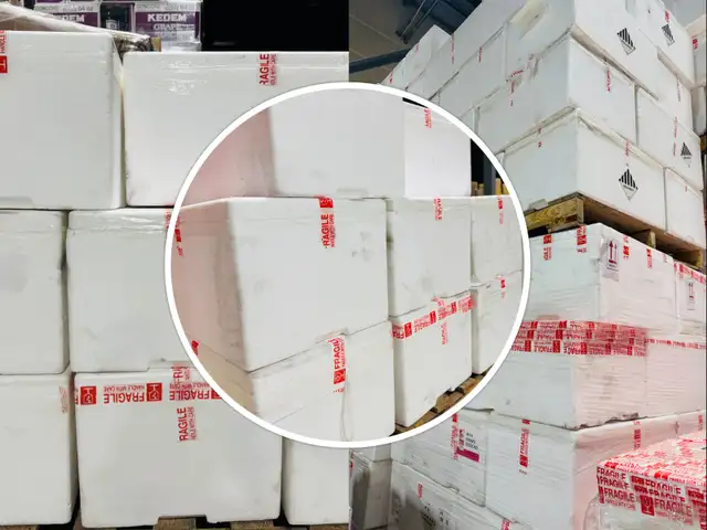 STYROFOAM BOXES FOR YOUR STORAGE NEEDS - $5/BOX PLUS TAX