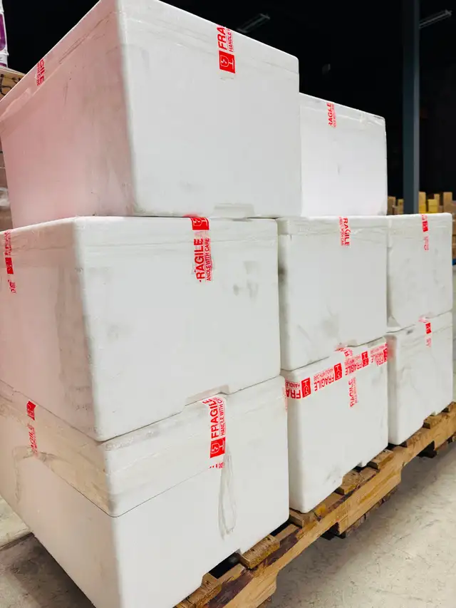 STYROFOAM BOXES FOR YOUR STORAGE NEEDS - $5/BOX PLUS TAX - Photo 3