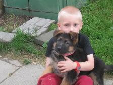 REGISTERED GERMAN SHEPHERD - Photo 6