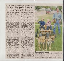 REGISTERED GERMAN SHEPHERD - Photo 8