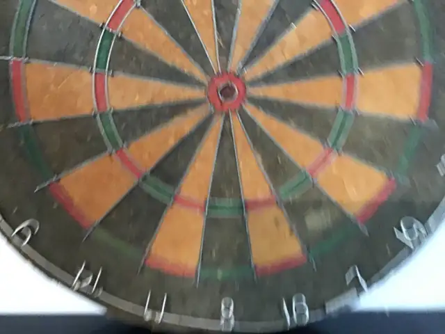 DART BOARD - Photo 2
