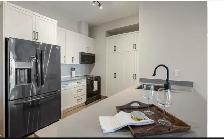 2 Bed 2 Bath Luxury Apartment