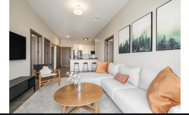 2 Bed 2 Bath Luxury Apartment - Photo 7