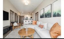 2 Bed 2 Bath Luxury Apartment - Photo 7