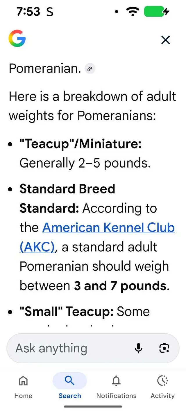 pommerian purebred ❤️579-366-2929❤️ - Photo 7