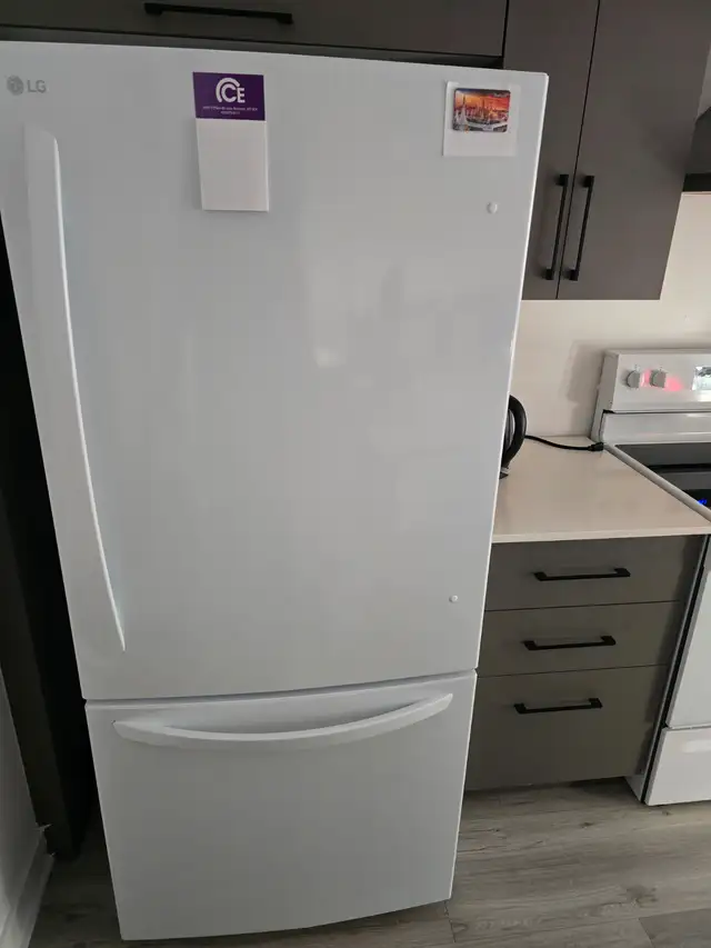 5 electros utilisé 1 an seulement. Qasiment neuf