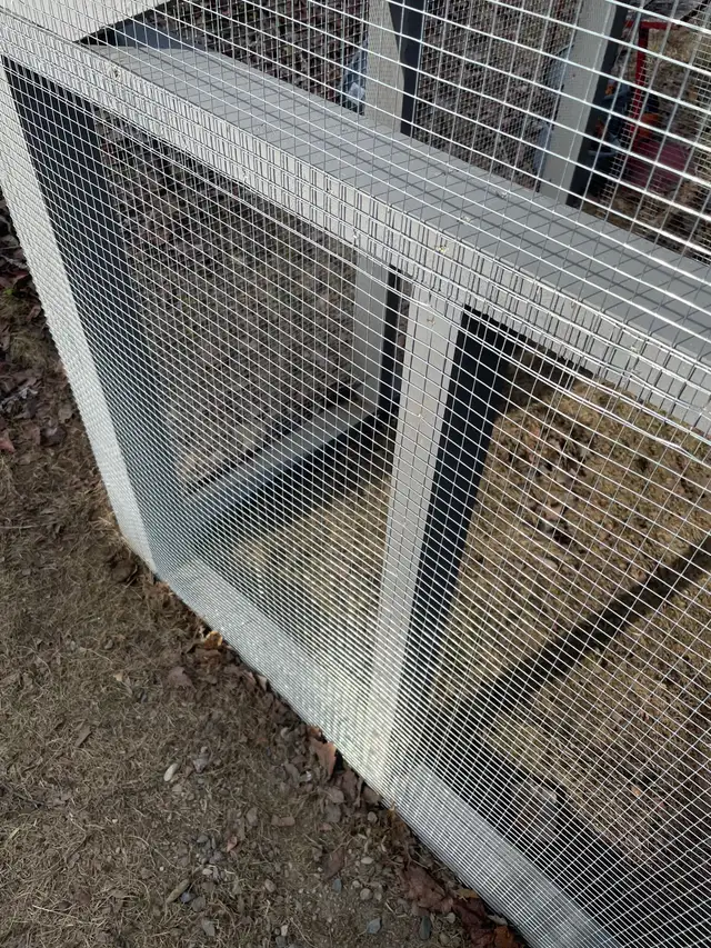 NEW chicken coop, galvanized steel fencing - Photo 8