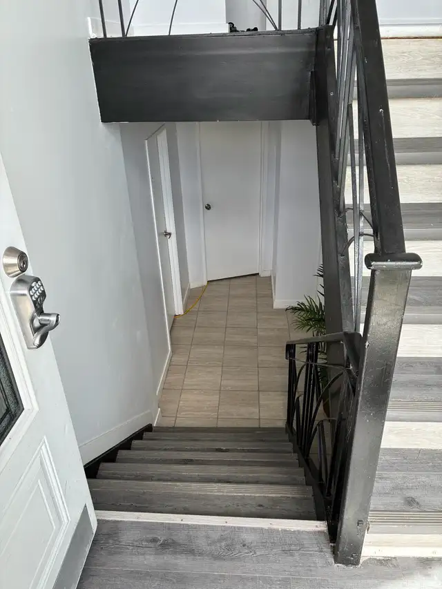 Fully Renovated 2-Bed, 1 Bath, All-Inclus - Photo 4