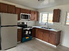 Fully Renovated 2-Bed, 1 Bath, All-Inclus - Photo 8