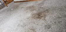 Professional Carpet Cleaning | Deep Steam & Sanitize | Book Toda - Photo 2