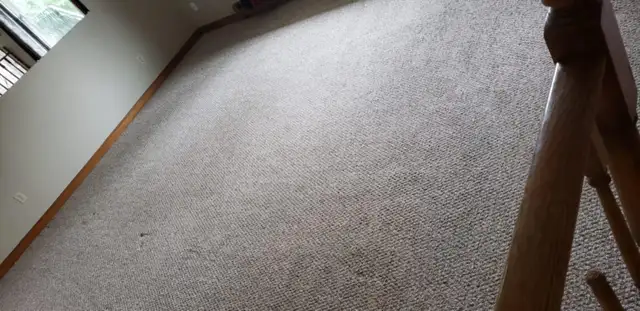 Professional Carpet Cleaning | Deep Steam & Sanitize | Book Toda - Photo 3
