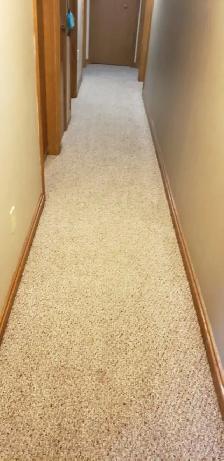 ✨ Professional Carpet Cleaning | Deep Steam & Sanitize | Book To - Photo 5