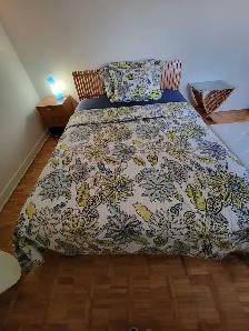 Room for Rent in a 2 bedroom apartment - Photo 5