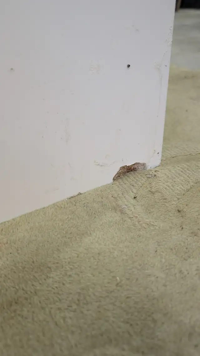 60' white vanity and tap - Photo 6