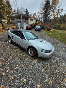 Mustang 1999 40e Convertible