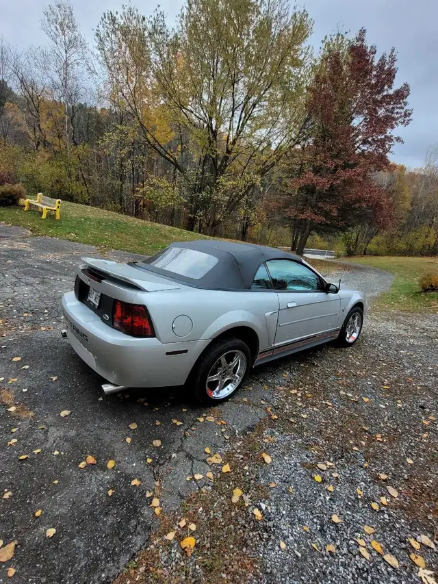Mustang 1999 40e Convertible - Photo 3