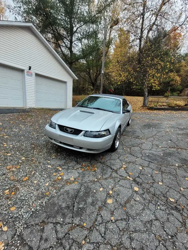 Mustang 1999 40e Convertible - Photo 4
