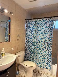 Bright and spacious 5 ¹/²  Upper Duplex for rent - Photo 5