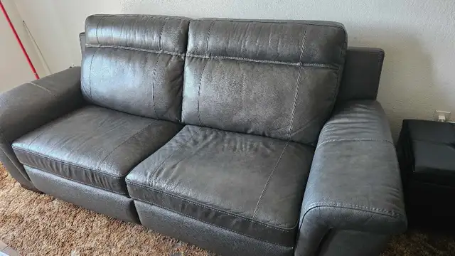 Rare genuine leather couch (Almost new) Coffee table and TV stan