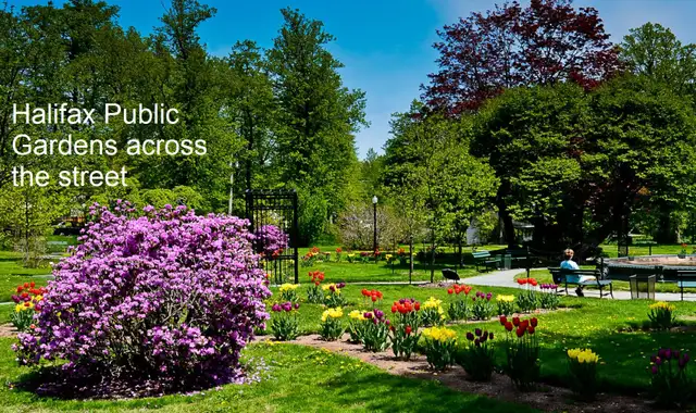 21-014 Upscale condo, 10 min walk to QEII hospital - Photo 10