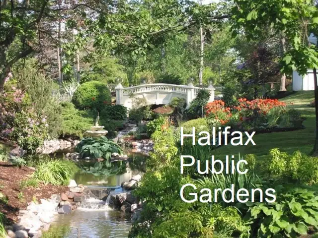 21-014 Upscale condo, 10 min walk to QEII hospital - Photo 11