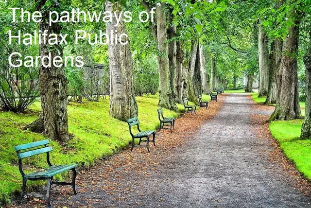 21-014 Upscale condo, 10 min walk to QEII hospital - Photo 12