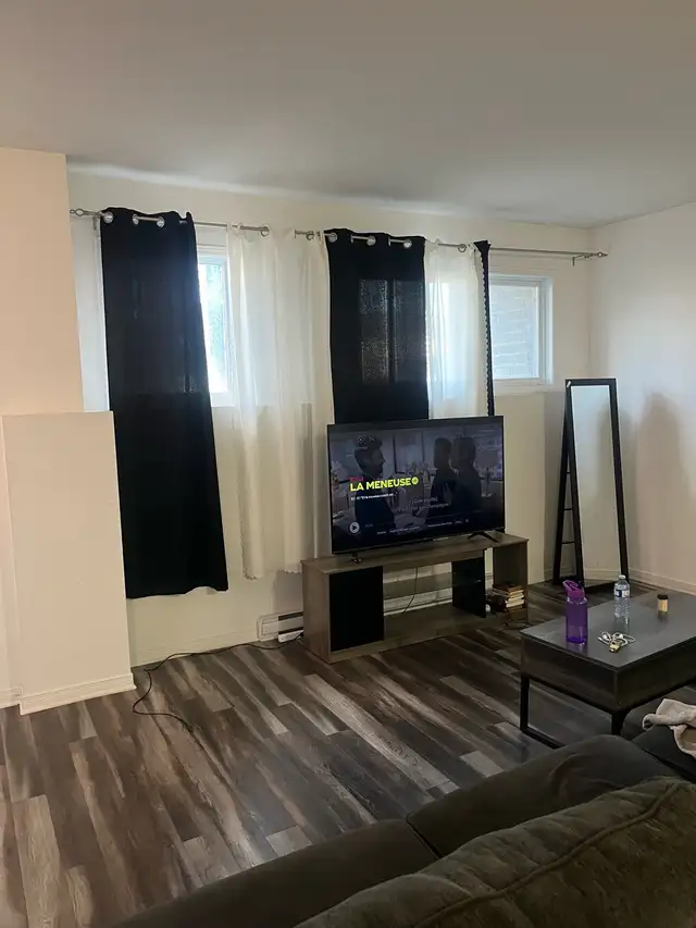 appartement 2 chambres à louer (plateau - Gatineau) - Photo 3