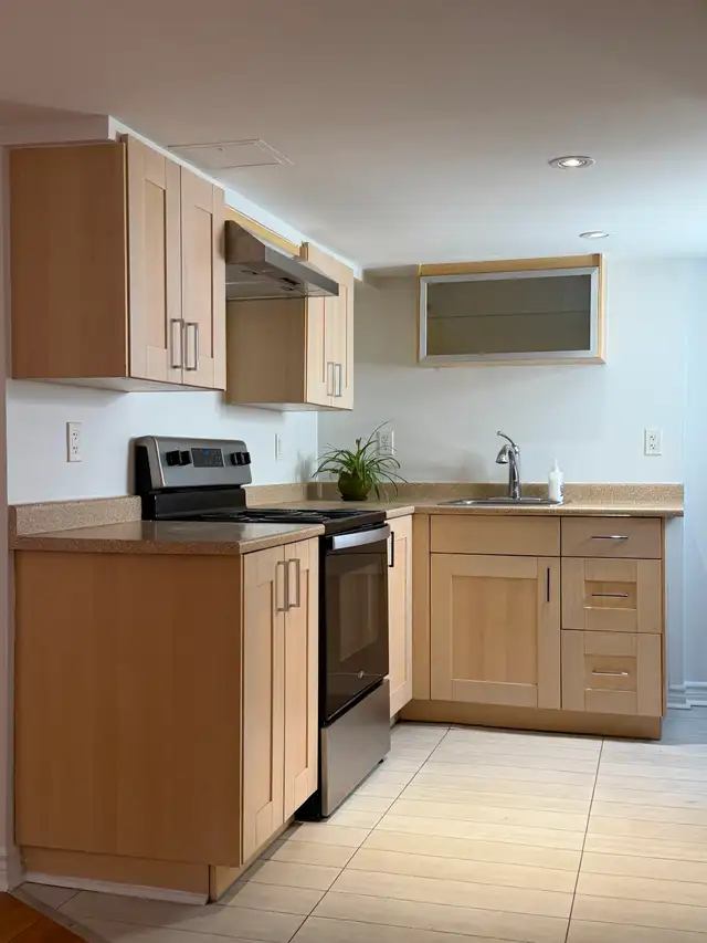 1bd Light-Filled Basement Suite in Corso Italia   Private Yard - Photo 3