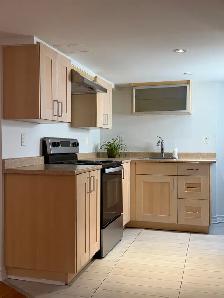 1bd Light-Filled Basement Suite in Corso Italia   Private Yard - Photo 3