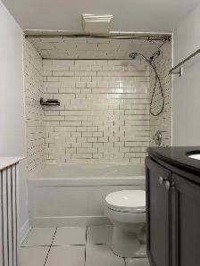 1bd Light-Filled Basement Suite in Corso Italia   Private Yard - Photo 5