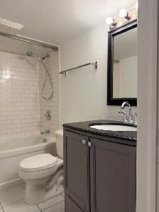 1bd Light-Filled Basement Suite in Corso Italia   Private Yard - Photo 6