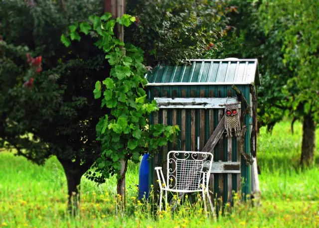 Help Us Grow the Memorial Healing Forest - Photo 5