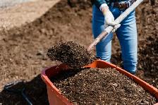Help Us Grow the Memorial Healing Forest - Photo 10