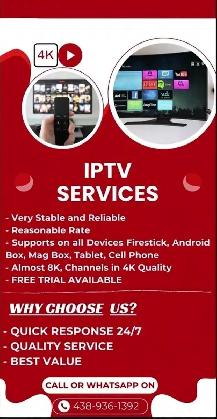 1 year TV subscription