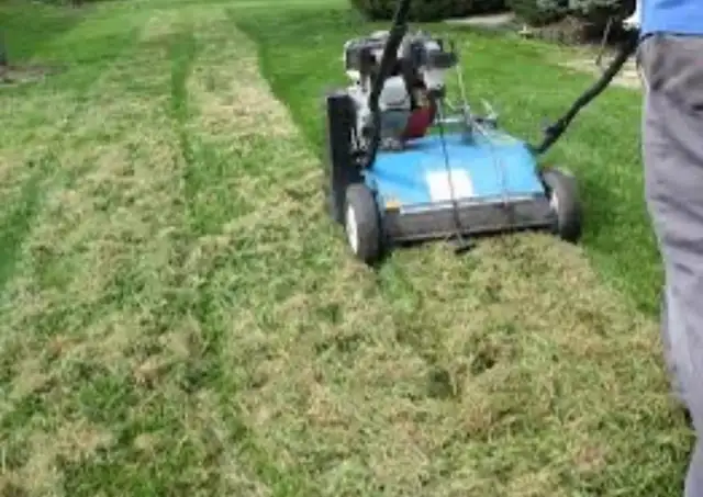 Areation and dethatching - Photo 2