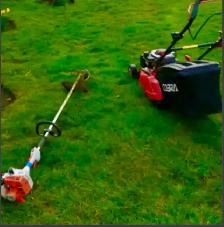 Lawn Mowing and Cleaning